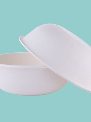 picture of white paper bowls on a teal background for easy way to store leftovers blog post