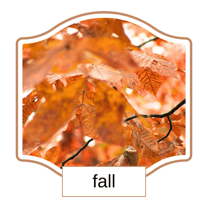 photo of orange leaves on black stems with a lot of white bokeh for that hashtag fall vibes to link to autumn meals